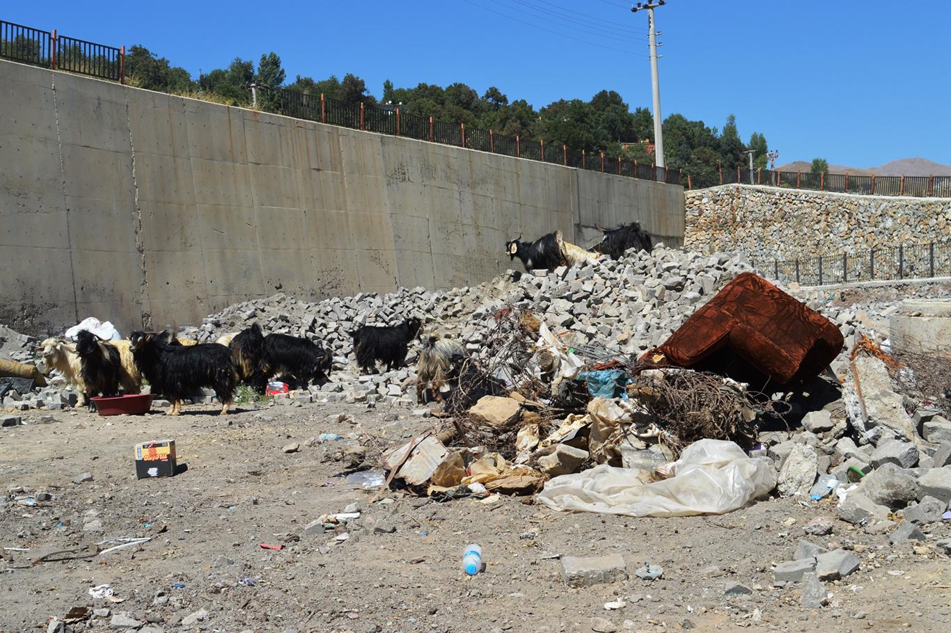 Kurban satıcılarından Bitlis Belediyesi’ne “çöp” tepkisi